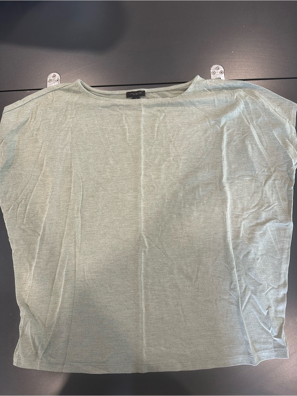 Ann Taylor Factory Light Sage Short Sleeve Knit Top